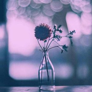 دانلود آهنگ دل تو جام بلوره رو سرت تاج غروره